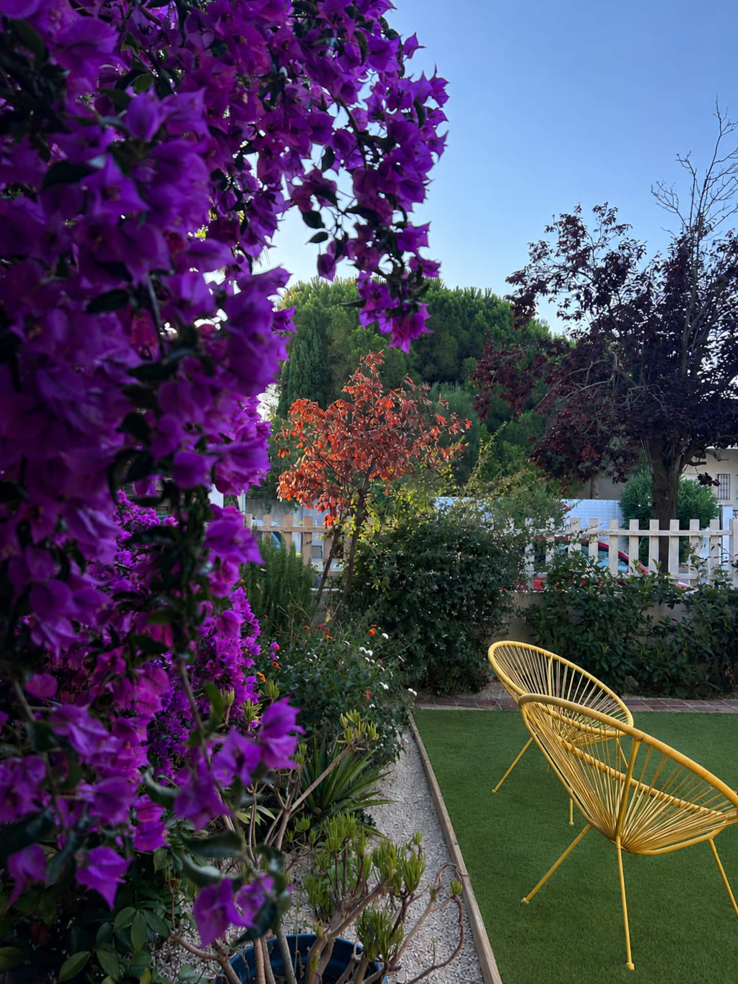 Jardin fleuri, vue 2
